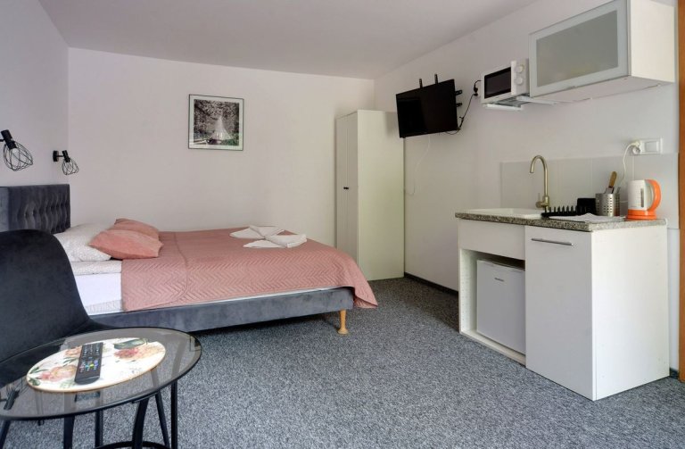 Apartament Parter